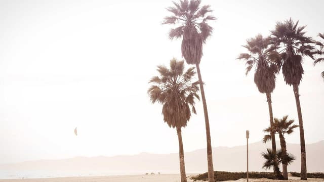 Sed et accusamus eaque dolor