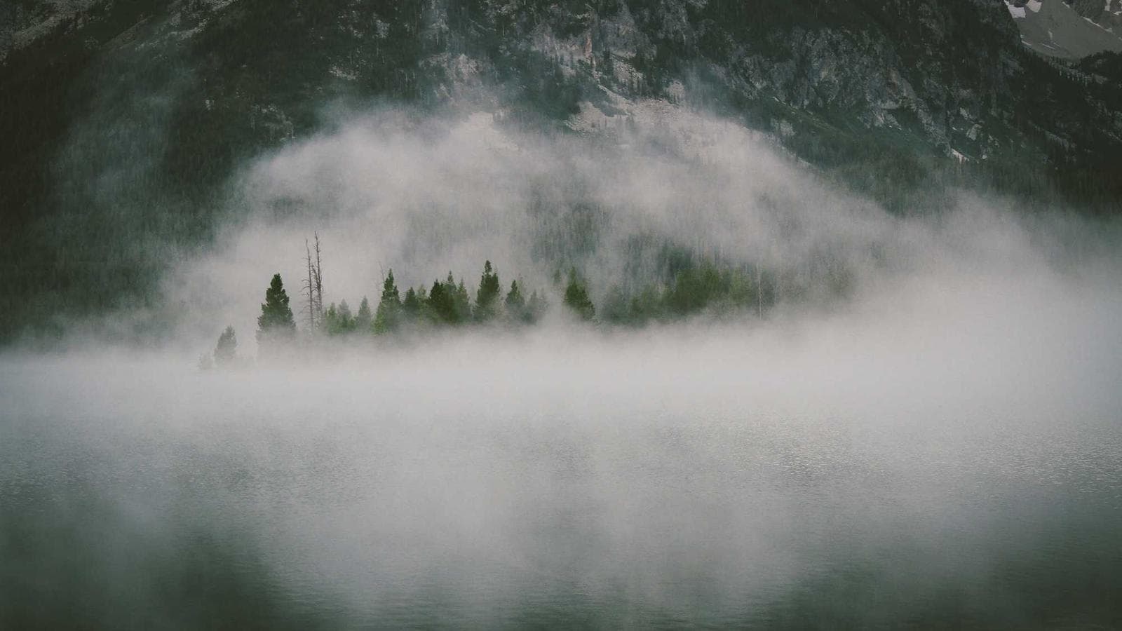 Odio eius modi qui dolor