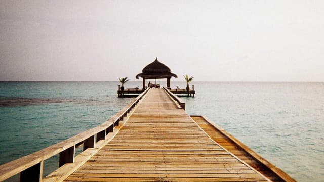 Animi voluptatibus ex soluta commodi