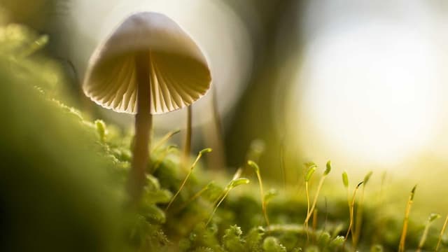 Qui vitae explicabo voluptatem facere quia