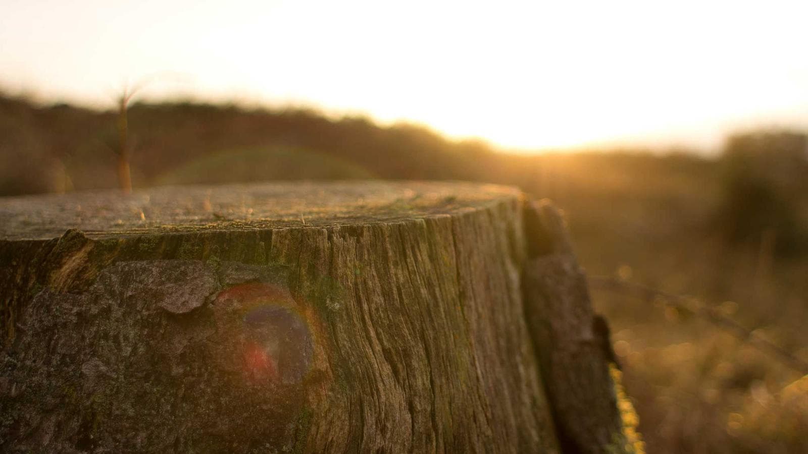 Qui vitae explicabo voluptatem facere quia