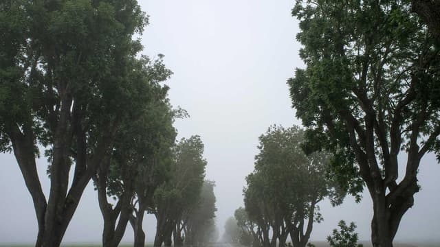 Et fugiat blanditiis in qui maxime