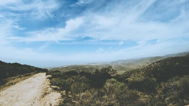 Sint totam est quia occaecati